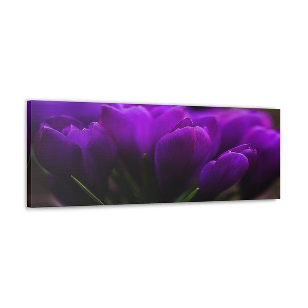 Purple Tulips Canvas Wall Art Gallery Wrap 36" x 12"