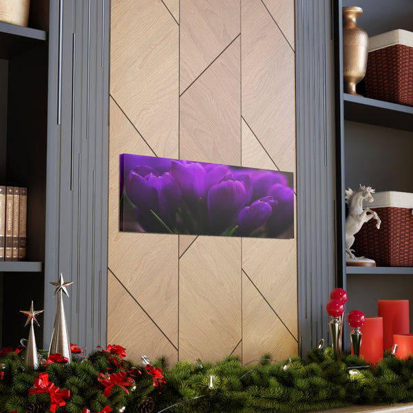 Purple Tulips Canvas Wall Art Gallery Wrap 36" x 12"