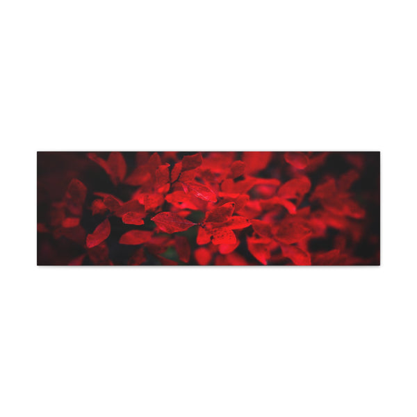 Red Leaves Canvas Wall Art Gallery Wrap 36" x 12"
