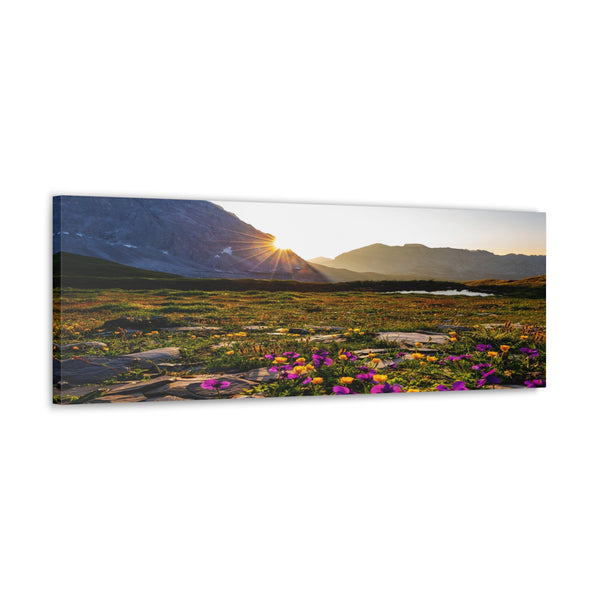 Mountain Sun Flowers Canvas Wall Art Gallery Wrap 36" x 12"