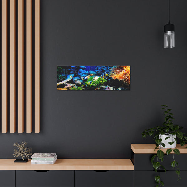 Fish on Ocean Reef Canvas Wall Art Gallery Wrap 36" x 12"