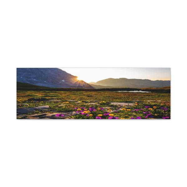 Mountain Sun Flowers Canvas Wall Art Gallery Wrap 36" x 12"