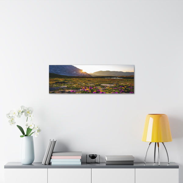 Mountain Sun Flowers Canvas Wall Art Gallery Wrap 36" x 12"