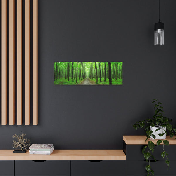 Green Trees Canvas Wall Art Gallery Wrap 36" x 12"
