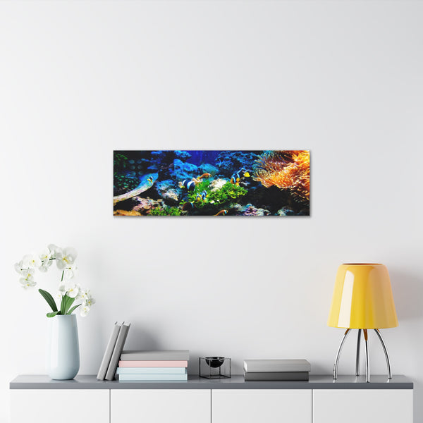 Fish on Ocean Reef Canvas Wall Art Gallery Wrap 36" x 12"