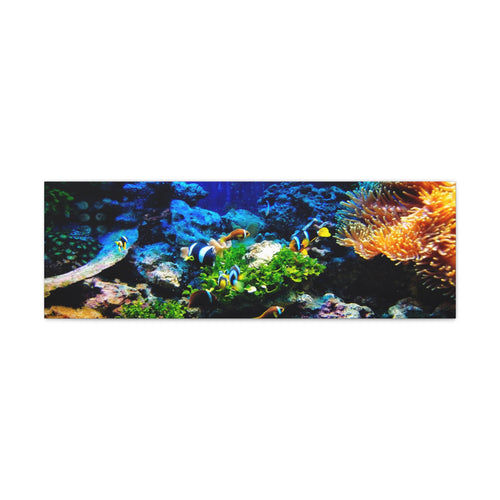 Fish on Ocean Reef Canvas Wall Art Gallery Wrap 36" x 12"
