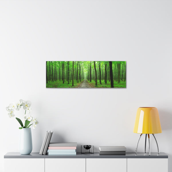 Green Trees Canvas Wall Art Gallery Wrap 36" x 12"
