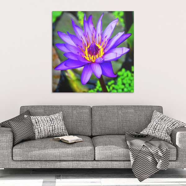 Purple & Yellow Lotus Flower Canvas Wall Art - Square - 4 Sizes - Mind Body Spirit