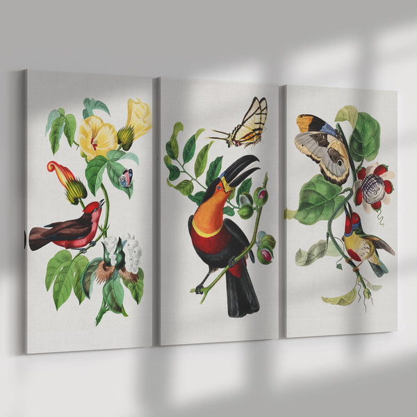 Vintage French Bird and Flower Paintings 3 Piece Canvas Panels, 3 Sizes