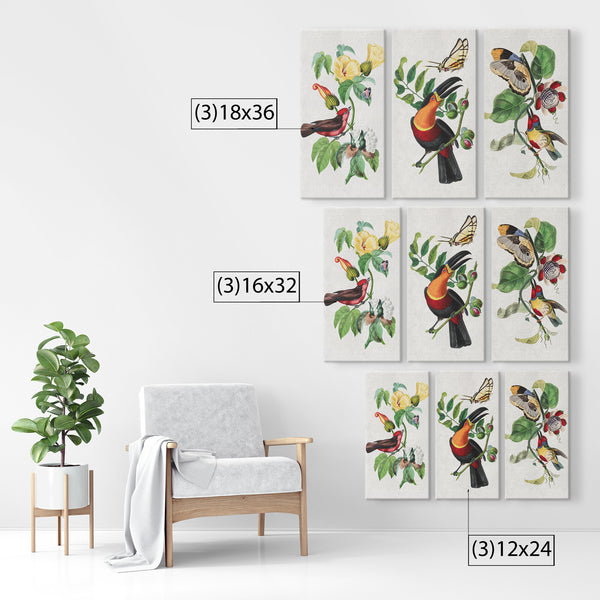 Vintage French Bird and Flower Paintings 3 Piece Canvas Panels, 3 Sizes