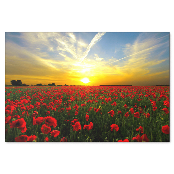 Red Poppies At Sunset Canvas Art - Beautiful Fine Art Available in 4 Sizes, - Mind Body Spirit