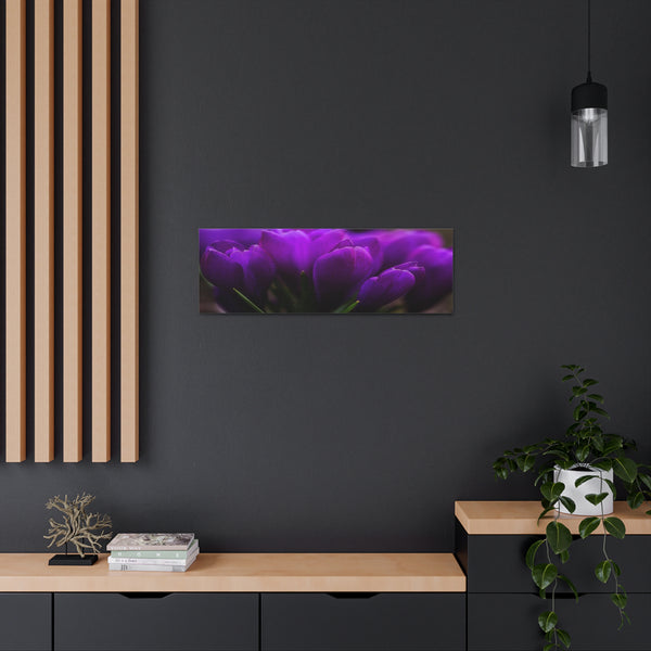 Purple Tulips Canvas Wall Art Gallery Wrap 36" x 12"
