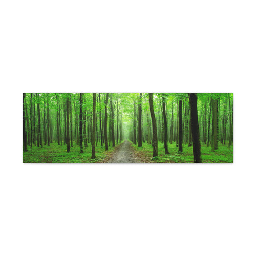 Green Trees Canvas Wall Art Gallery Wrap 36" x 12"