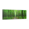 Green Trees Canvas Wall Art Gallery Wrap 36