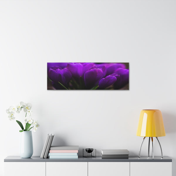 Purple Tulips Canvas Wall Art Gallery Wrap 36" x 12"