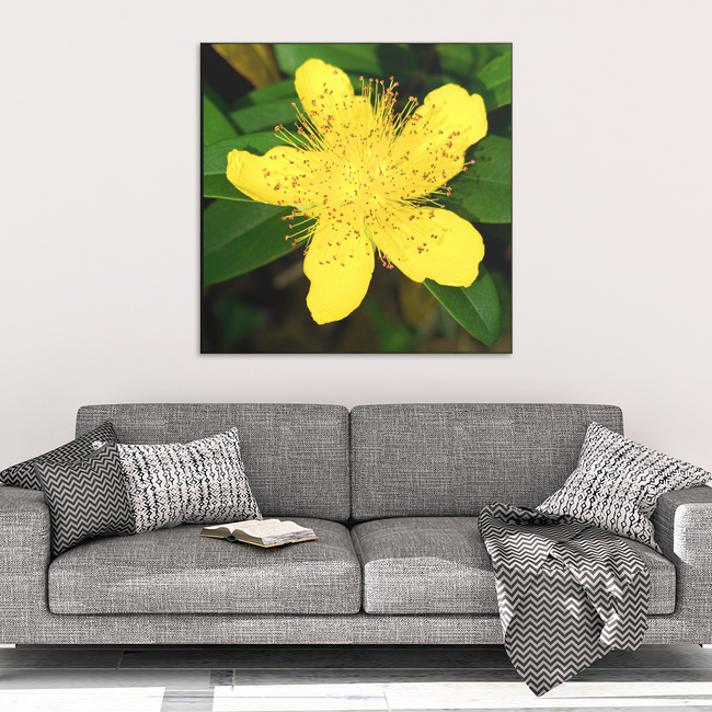 Yellow Rose of Sharon Canvas Wall Art - Square - 4 Sizes - Mind Body Spirit