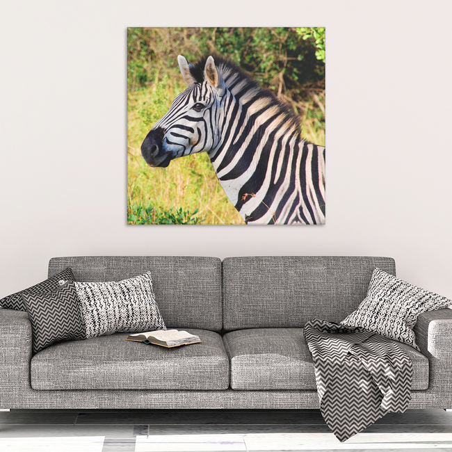 Zebra in The Wild Canvas Wall Art - Square- 4 Sizes - Mind Body Spirit