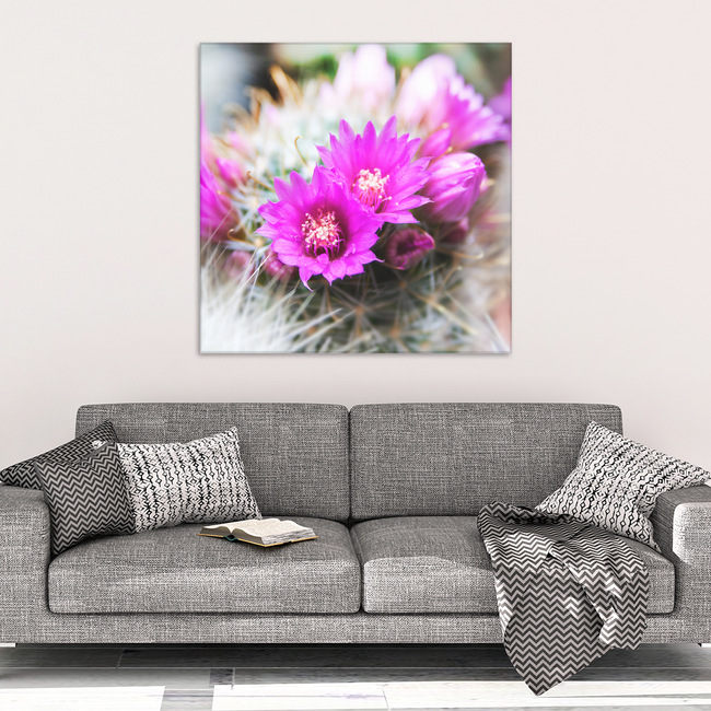 Vibrant Pink Cactus Flower Canvas Wall Art in 4 Sizes; 8x8, 16x16, 24x24, 40x40 - Mind Body Spirit