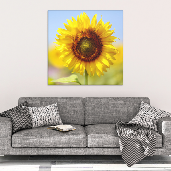 Morning Sunflower Canvas Wall Art - Square - 4 Sizes - Mind Body Spirit